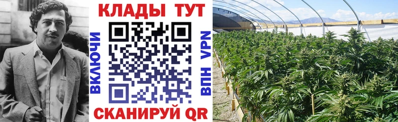 Магазины продажи наркотиков Новотроицк Канабис  Мефедрон  МЕТАДОН  ГАШИШ  COCAIN 