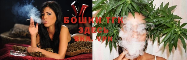 PSILOCYBIN Медвежьегорск
