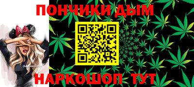 индика Азнакаево