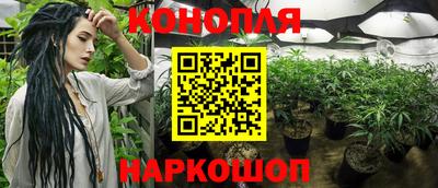 дурь Гусев