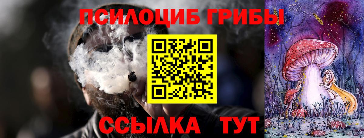Новотроицк  Галлюциногенные грибы мухоморы  Вход с VPN 